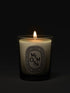 Mimosa Candle